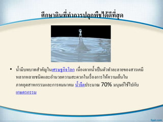ศึกษาึϸนที่ทาการปลุกพืชได้ดีที่สุด
• น้ามีบทบาทสาคัญในเศรษฐกิจโลก เนื่องจากน้าเป็นตัวทาละลายของสารเคมี
หลากหลายชนิดและอานวยความสะดวกในเรื่องการให้ความเย็นใน
ภาคอุตสาหกรรมและการคมนาคม น้าจืดประมาณ 70% มนุษย์ใช้ไปกับ
เกษตรกรรม
 