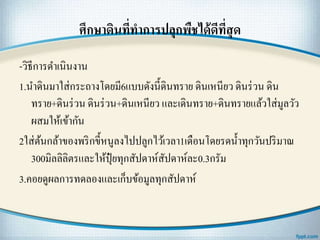 ศึกษาึϸนที่ทาการปลุกพืชได้ดีที่สุด
-วิธีการดาเนินงาน
1.นาึϸนมาใส่กระถางโดยมี6แบบดังนี้ึϸนทราย ึϸนเหนียว ึϸนร่วน ึϸน
ทราย+ึϸนร่วน ึϸนร่วน+ึϸนเหนียว และเึϸนทราย+ึϸนทรายแล้วใส่มูลวัว
ผสมให้เข้ากัน
2ใส่ต้นกล้าของพริกขี้หนูลงไปปลูกไว้เวลา1เดือนโดยรดน้าทุกวันปริมาณ
300มิลลิลิตรและให้ปุ๋ ยทุกสัปดาห์สัปดาห์ละ0.3กรัม
3.คอยดูผลการทดลองและเก็บข้อมูลทุกสัปดาห์
 