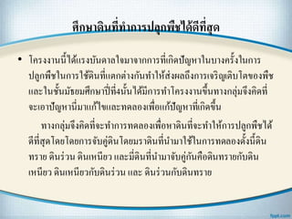 ศึกษาึϸนที่ทาการปลุกพืชได้ดีที่สุด
• โครงงานนี้ได้แรงบันดาลใจมาจากการที่เกิดปัญหาในบางครั้งในการ
ปลูกพืชในการใช้ึϸนที่แตกต่างกันทาให้ส่งผลถึงการเจริญเติบโตของพืช
และในชั้นมัธยมศึกษาปี่ที่4นั้นได้มีการทาโครงงานขึ้นทางกลุ่มจึงคิดที่
จะเอาปัญหานี่มาแก้ไขและทดลองเพื่อแก้ปัญหาที่เกิดขึ้น
ทางกลุ่มจึงคิดที่จะทาการทดลองเพื่อหาึϸนที่จะทาให้การปลูกพืชได้
ดีที่สุดโดยโดยการจับคู่ึϸนโดยมราึϸนที่นามาใช้ในการทดลองดั้งนี้ึϸน
ทราย ึϸนร่วน ึϸนเหนียว และมี่ึϸนที่นามาจับคู่กันคือึϸนทรายกับึϸน
เหนียว ึϸนเหนียวกับึϸนร่วน และ ึϸนร่วนกับึϸนทราย
 