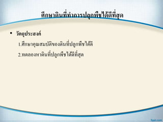 ศึกษาึϸนที่ทาการปลุกพืชได้ดีที่สุด
• วัตถุประสงค์
1.ศึกษาคุณสมบัติของึϸนที่ปลูกพืชได้ดี
2.ทดลองหาึϸนที่ปลูกพืชได้ดีที่สุด
 