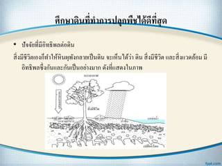 ศึกษาึϸนที่ทาการปลุกพืชได้ดีที่สุด
• ปัจจัยที่มีอิทธิพลต่อึϸน
สิ่งมีชีวิตเองก็ทาให้หินผุพังกลายเป็นึϸน จะเห็นได้ว่า ึϸน สิ่งมีชีวิต และสิ่งแวดล้อม มี
อิทธิพลซึ่งกันและกันเป็นอย่างมาก ดังที่แสดงในภาพ
 