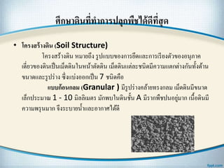 ศึกษาึϸนที่ทาการปลุกพืชได้ดีที่สุด
• โครงสร้างึϸน (Soil Structure)
โครงสร้างึϸน หมายถึง รูปแบบของการยึดและการเรียงตัวของอนุภาค
เดี่ยวของึϸนเป็นเม็ดึϸนในหน้าตัดึϸน เม็ดึϸนแต่ละชนิดมีความแตกต่างกันทั้งด้าน
ขนาดและรูปร่าง ซึ่งแบ่งออกเป็น 7 ชนิดคือ
แบบก้อนกลม (Granular ) มีรูปร่างคล้ายทรงกลม เม็ดึϸนมีขนาด
เล็กประมาณ 1 - 10 มิลลิเมตร มักพบในึϸนชั้น A มีรากพืชปนอยู่มาก เนื้อึϸนมี
ความพรุนมาก จึงระบายน้าและอากาศได้ดี
 