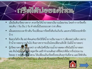 • เมื่อเริ่มต้นกรีดยางพารา ควรกรีดให้น้ายางออกปริมาณน้อยก่อน โดยทาการกรีดครึ่ง
รอบต้น 1 วัน เว้น 2 วัน ทาเช่นนี้เป็นระยะเวลา 5-6 เดือน
• เมื่อเลยระยะเวลาข้างต้น จึงเปลี่ยนมากรีดครึ่งต้นวันเว้นวัน และควรให้มีระยะพักอีก
บ้าง
• ข้อควรใส่ใจ คือ อย่าคิดแต่จะกรีดให้ได้น้ายางปริมาณมาก ๆ เพียงอย่างเดียว เพราะ
ถ้าน้ายางออกมากเกินไป ต้นยางพาราจะเป็นโรคเปลือกแห้งได้ (ไม่มีน้ายางออก)
• ผู้กรีดยางควรหมั่นสังเกตว่า ยางต้นใดที่ปริมาณน้ายางลดลง หรือไม่มีน้ายางออก
เลย ต้นใดผิดสังเกตให้ หยุดกรีด แต่ถ้าจานวนต้นยางที่ผิดปกติมีมากถึงประมาณ
ร้อยละ 5 ของต้นยางทั้งสวน ให้เปลี่ยนเป็นกรีดครึ่งรอบต้นทุกวันที่สาม และให้พักต้น
ยางที่ทรุดโทรมเสียประมาณ ๖ เดือน แล้วจึงทดลองกรีดต่อไปใหม่
 