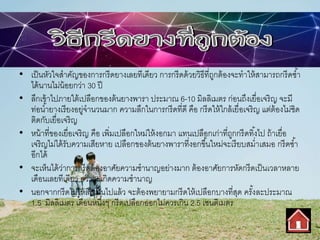 • เป็นหัวใจสาคัญของการกรีดยางเลยทีเดียว การกรีดด้วยวิธีที่ถูกต้องจะทาให้สามารถกรีดซ้า
ได้นานไม่น้อยกว่า 30 ปี
• ลึกเข้าไปภายใต้เปลือกของต้นยางพารา ประมาณ 6-10 มิลลิเมตร ก่อนถึงเยื่อเจริญ จะมี
ท่อน้ายางเรียงอยู่จานวนมาก ความลึกในการกรีดที่ดี คือ กรีดให้ใกล้เยื่อเจริญ แต่ต้องไม่ชิด
ติดกับเยื่อเจริญ
• หน้าที่ของเยื่อเจริญ คือ เพิ่มเปลือกใหม่ให้งอกมา แทนเปลือกเก่าที่ถูกกรีดทิ้งไป ถ้าเยื่อ
เจริญไม่ได้รับความเสียหาย เปลือกของต้นยางพาราที่งอกขึ้นใหม่จะเรียบสม่าเสมอ กรีดซ้า
อีกได้
• จะเห็นได้ว่าการกรีดต้องอาศัยความชานาญอย่างมาก ต้องอาศัยการหัดกรีดเป็นเวลาหลาย
เดือนเลยทีเดียว กว่าจะเกิดความชานาญ
• นอกจากกรีดไม่ให้ลึกเกินไปแล้ว จะต้องพยายามกรีดให้เปลือกบางที่สุด ครั้งละประมาณ
1.5 มิลลิเมตร เดือนหนึ่งๆ กรีดเปลือกออกไม่ควรเกิน 2.5 เซนติเมตร
 