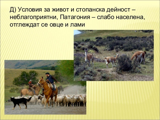 природни зони в южна америка 2