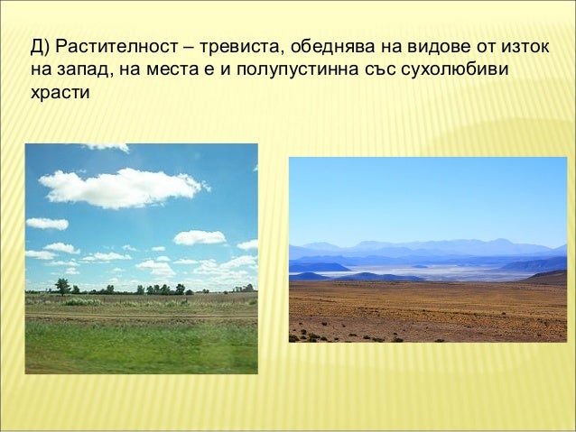 природни зони в южна америка 2