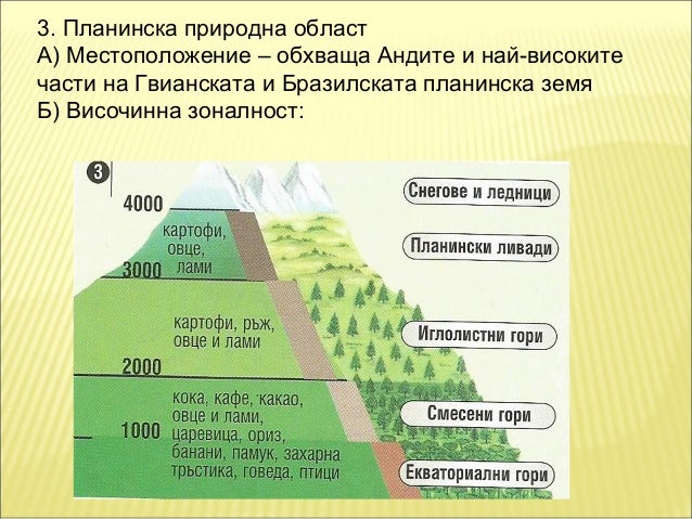 природни зони в южна америка 2