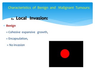 2. benign vs malignant dr. sinhasan, mdzah | PPTX