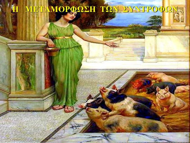 Î ÎÎΤÎÎÎΡΦΩΣΠΤΩΠΣΥÎΤΡÎΦΩÎ