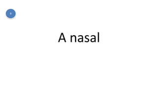 A nasal
9
 