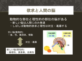 欲求と人間の脳
動物的な部位と理性的の部位の脳がある
・新しい脳は人間にのみ発達
・しばしば動物的欲求と理性は対立・葛藤する
古い脳(動物的)
・食、性、集団欲、情動
新しい脳(理性的)
・倫理性、真善美、自発性
対立・葛藤
 