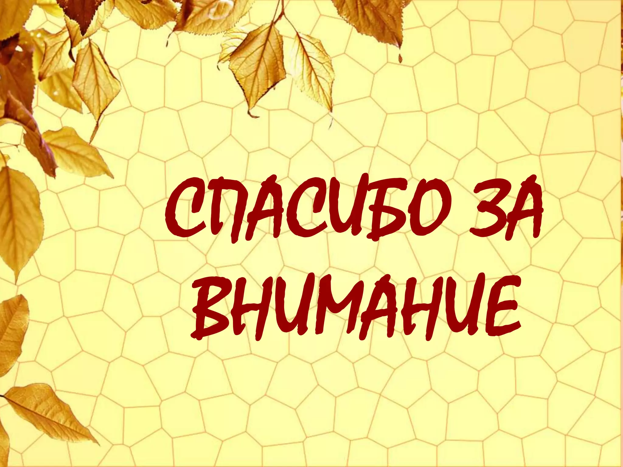 СПАСИБО ЗА
ВНИМАНИЕ
 