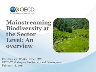 Christina Van Winkle ENV/CBW
OECD Workshop on Biodiversity and Development
February 18, 2015
Mainstreaming
Biodiversity at
the Sector
Level: An
overview
 