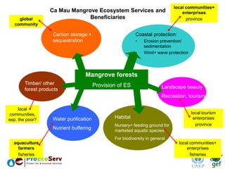 Mainstreaming of ecosystem services into decision making in Ca Mau ...