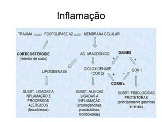 Inflamação
 