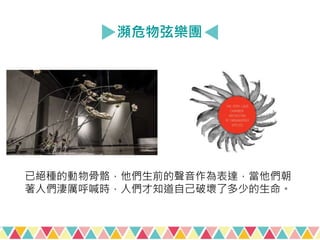 瀕危物弦樂團
已絕種的動物骨骼，他們生前的聲音作為表達，當他們朝
著人們淒厲呼喊時，人們才知道自己破壞了多少的生命。
 