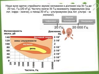 Наше вухо здатне сприймати звукові коливання в діапазоні від 16 Гц до
20 тис. Гц (20 кГц). Частоту нижче 16 Гц називають інфразвуком (від
лат. інфра - нижче), а понад 20 кГц - ультразвуком (від лат. ультра - за
межами).
Інфразвук Ультразвук
Звукові
коливання
 