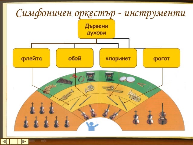 Симфоничен оркестър