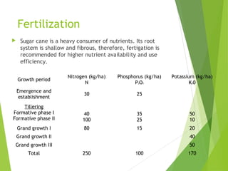 Fertilization
 Sugar cane is a heavy consumer of nutrients. Its root
system is shallow and fibrous, therefore, fertigation is
recommended for higher nutrient availability and use
efficiency.
Growth period
Nitrogen (kg/ha)
N
Phosphorus (kg/ha)
P2O5
Potassium (kg/ha)
K20
Emergence and
establishment
30 25
Tillering
Formative phase I
Formative phase II
40
100
35
25
50
10
Grand growth I 80 15 20
Grand growth II 40
Grand growth III 50
Total 250 100 170
 