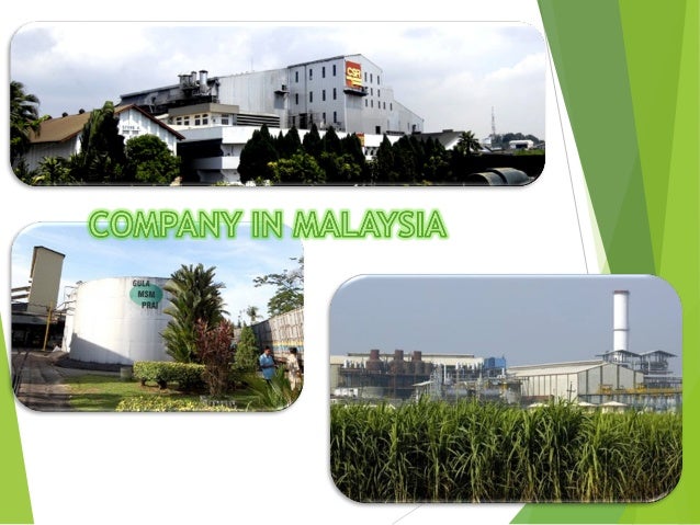 Sugarcane in Malaysia