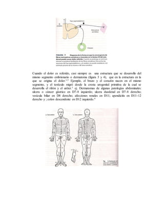 Cuando el dolor es referido, casi siempre es una estructura que se desarrollo del
mismo segmento embrionario o dermatoma (figura 3 y 4), que en la estructura en la
que se origina el dolor.1,5 Ejemplo, el brazo y el corazón nacen en el mismo
segmento, y el testículo migró desde la cresta urogenital primitiva de la cual se
desarrolla el riñón y el uréter.1 ej. Dermatomas de algunas patologías abdominales:
ulcera o cáncer gástrico en D7-8 izquierdo; ulcera duodenal en D7-8 derecho;
vesícula biliar en D8 derecho; afecciones renales en D11; apendicitis en D11-12
derecho y ; colon descendente en D12 izquierdo.4
 