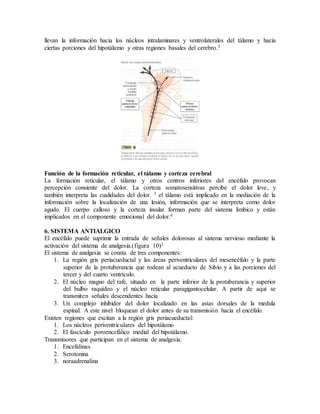 llevan la información hacia los núcleos intralaminares y ventrolaterales del tálamo y hacia
ciertas porciones del hipotálamo y otras regiones basales del cerebro.3
Función de la formación reticular, el tálamo y corteza cerebral
La formación reticular, el tálamo y otros centros inferiores del encéfalo provocan
percepción consiente del dolor. La corteza somatosensitivas percibe el dolor leve, y
también interpreta las cualidades del dolor. 3 el tálamo está implicado en la mediación de la
información sobre la localización de una lesión, información que se interpreta como dolor
agudo. El cuerpo calloso y la corteza insular forman parte del sistema límbico y están
implicados en el componente emocional del dolor.6
6. SISTEMA ANTIALGICO
El encéfalo puede suprimir la entrada de señales dolorosas al sistema nervioso mediante la
activación del sistema de analgesia.(figura 10)3
El sistema de analgesia se consta de tres componentes:
1. La región gris periacueductal y las áreas periventriculares del mesencéfalo y la parte
superior de la protuberancia que rodean al acueducto de Silvio y a las porciones del
tercer y del cuarto ventrículo.
2. El núcleo magno del rafe, situado en la parte inferior de la protuberancia y superior
del bulbo raquídeo y el núcleo reticular paragigantocelular. A partir de aquí se
transmiten señales descendentes hacia
3. Un complejo inhibidor del dolor localizado en las astas dorsales de la medula
espinal. A este nivel bloquean el dolor antes de su transmisión hacia el encéfalo.
Existen regiones que excitan a la región gris periacueductal:
1. Los núcleos periventriculares del hipotálamo
2. El fascículo poroencefálico medial del hipotálamo.
Transmisores que participan en el sistema de analgesia:
1. Encefalinas
2. Serotonina
3. noraadrenalina
 