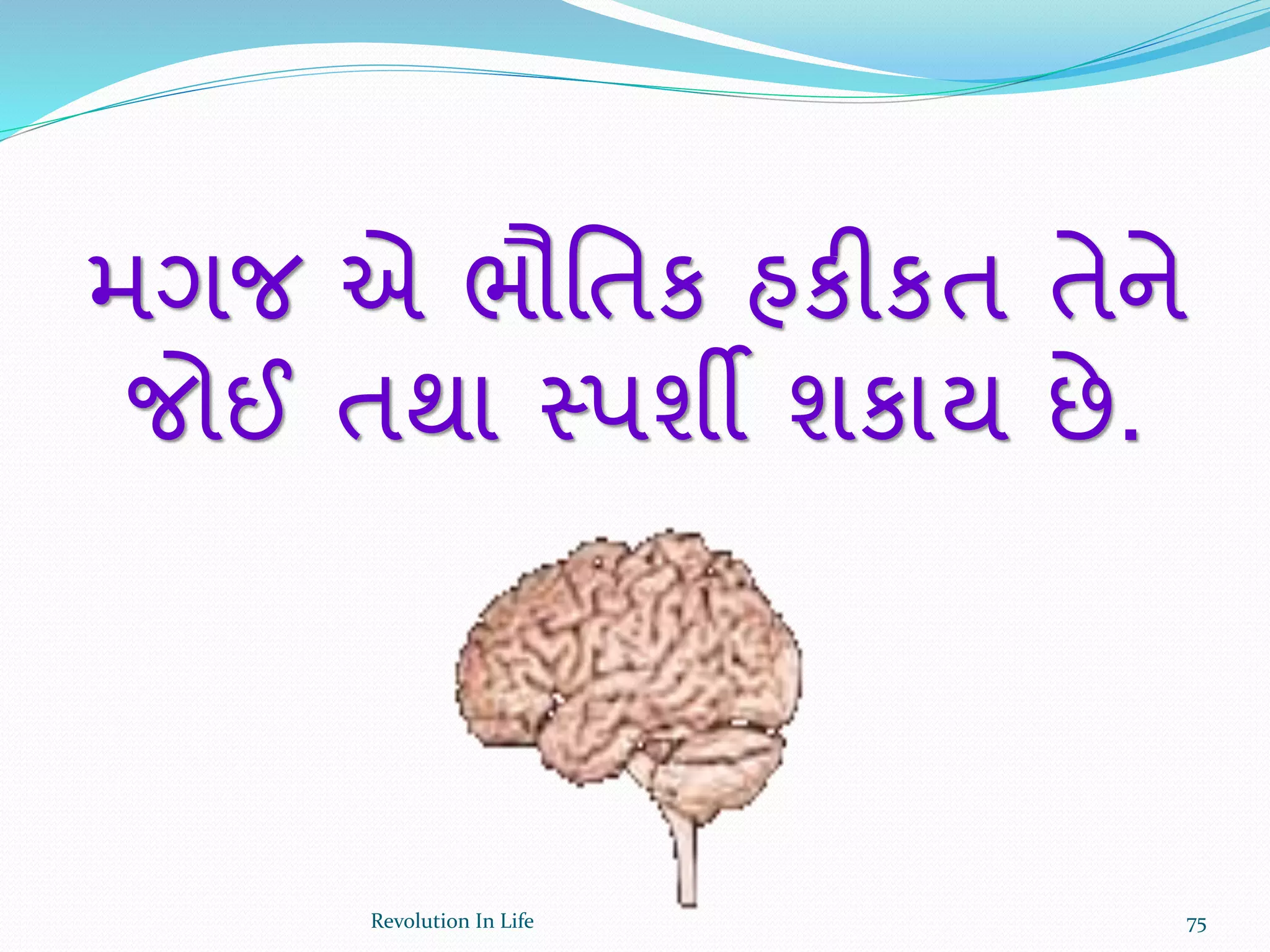 મગજ એ ભૌવતક હકીકત તેને
જોઈ તથા સ્પશી શકાય છે.
75Revolution In Life
 
