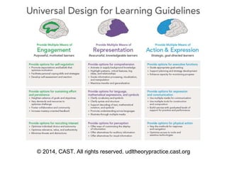 © 2014, CAST. All rights reserved. udltheorypractice.cast.org
 