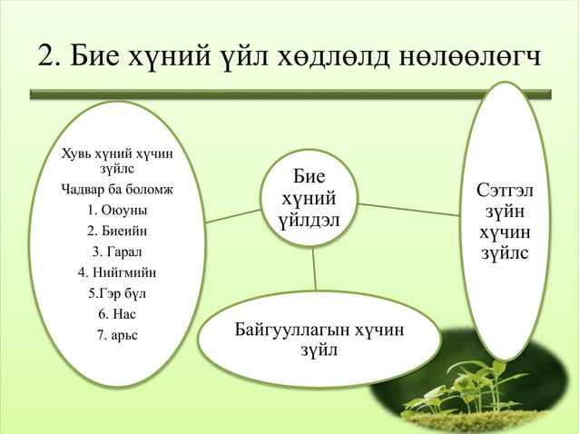 бие хүний зан төлөв лекц 2