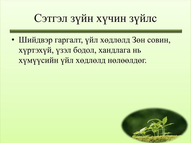 бие хүний зан төлөв лекц 2