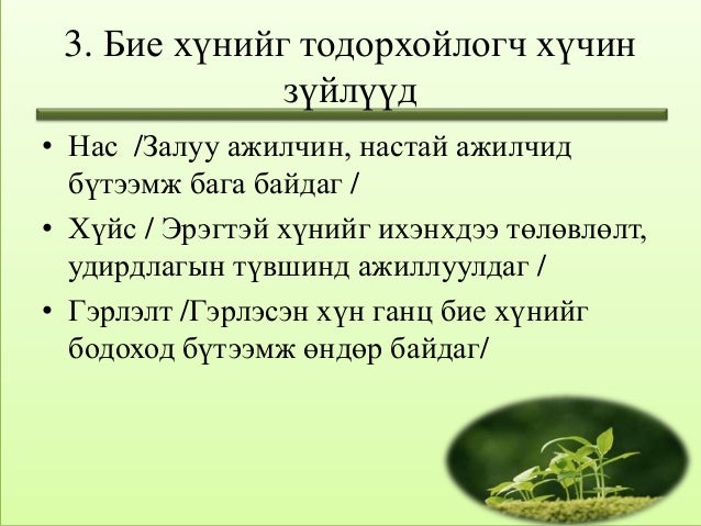бие хүний зан төлөв лекц 2