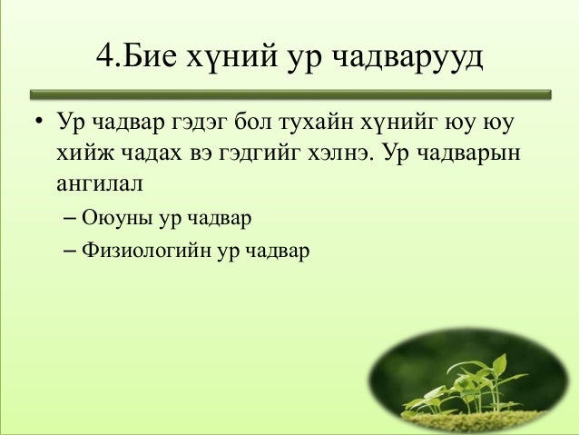 бие хүний зан төлөв лекц 2