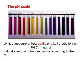 The pH scale
pH is a measure of how acidic or alkali a solution is.
PH 7 = neutral
Indicator solution changes colour according to the
pH
 