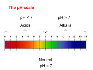 Acids Alkalis
Neutral
The pH scale
pH < 7 pH > 7
pH = 7
 