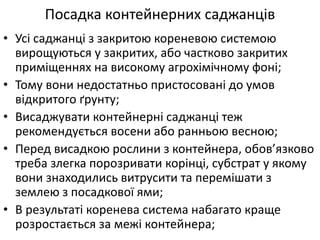 • Усі саджанці з закритою кореневою системою
вирощуються у закритих, або частково закритих
приміщеннях на високому агрохімічному фоні;
• Тому вони недостатньо пристосовані до умов
відкритого ґрунту;
• Висаджувати контейнерні саджанці теж
рекомендується восени або ранньою весною;
• Перед висадкою рослини з контейнера, обов’язково
треба злегка порозривати корінці, субстрат у якому
вони знаходились витрусити та перемішати з
землею з посадкової ями;
• В результаті коренева система набагато краще
розростається за межі контейнера;
Посадка контейнерних саджанців
 