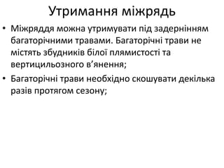 • Міжряддя можна утримувати під задернінням
багаторічними травами. Багаторічні трави не
містять збудників білої плямистості та
вертицильозного в’янення;
• Багаторічні трави необхідно скошувати декілька
разів протягом сезону;
Утримання міжрядь
 