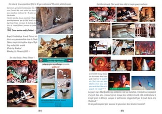 Durant les agressions thaïlandaises 4-5 fé-
vrier, l’armée thaï avait utilisé des obus à
sous-munitions contenant de 70 autres pe-
tites bombes.
Cicontre un obus à sous-munition ( Cluster
munition)ramassé par le CIMAC dans le vil-
lage Svay Chrum, commune de Kantout, dis-
trict de Chuam Khsan, province de Preah
Vihear.
CMAC: Cluster munition used by Thailand >
Royal Cambodian Armed Forces sol-
diers carry ammunition close to Preah
Vihear temple during four days of figh-
ting earlier this month.
(Photo by: Reuters)
Monday, 14 February 2011 >
Des obus à “sous-munitions”M42 et 46 qui contiennent 70 autres petites bombes
Le vénérable Soeung Siphan,
un des moines dans la pa-
gode s’exprime “La majorité
des Thaï sont des boud-
dhistes comme nous, pour-
quoi ont-ils tiré d’obus sur la
pagode, et le temple ?”
Les supérieurs Thaï (politiciens, militaires ) ont une intention criminelle accompagnée
d’un acte bien plus criminel encore lorsque leur artillerie lourde cible délibérément le
temple pour le détruire, puisque ce patrimoine n’appartient pas de toute façon à la
Thaïlande !
On ne peut imaginer pire bassesse et ignominie. Sont-ils des criminels ?
L’artillerie lourde Thaï avait bien ciblé le temple pour le détruire
Des obus thaïs à Preah Vihear
374 375
 