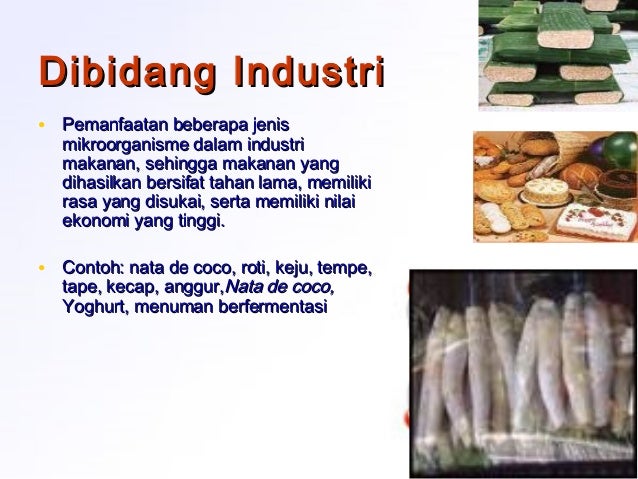 Cabang Ilmu Dan Manfaat Biologi