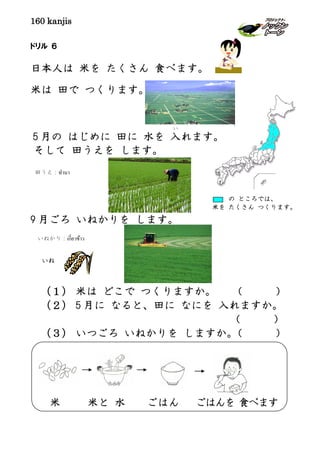 160 kanjis
米 米と 水 ごはん ごはんを 食べます
ドリル ６
日本人は 米を たくさん 食べます。
米は 田で つくります。
9 月ごろ いねかりを します。
いね
（１） 米は どこで つくりますか。 （ ）
（２） 5 月に なると、田に なにを 入れますか。
（ ）
（３） いつごろ いねかりを しますか。（ ）
5 月の はじめに 田に 水を 入
い
れます。
そして 田うえを します。
田うえ：ทํานา
いねかり：เกี่ยวข้าว
の ところでは、
米を たくさん つくります。
 