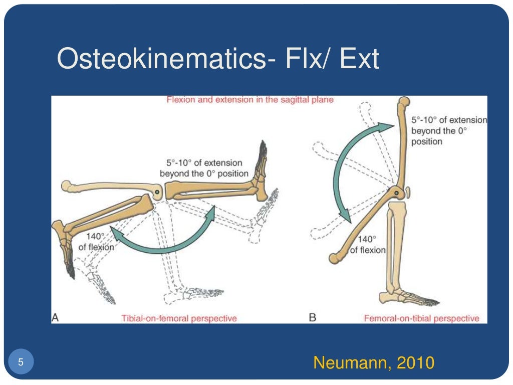 2. biomechanics of the knee joint artho, osteo