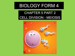 BIOLOGY FORM 4
CHAPTER 5 PART 2
CELL DIVISION - MEIOSIS
 