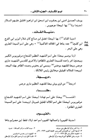 تاريخ ابو المكارم ج2