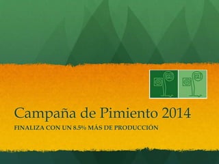 Campaña de Pimiento 2014
FINALIZA CON UN 8.5% MÁS DE PRODUCCIÓN
 