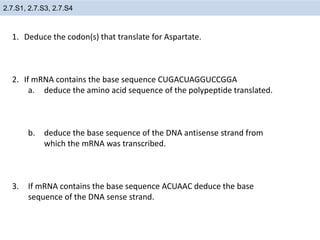 2.7 dna replication, transcription, and translation
