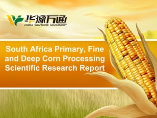 South Africa Primary, Fine
and Deep Corn Processing
Scientific Research Report
 