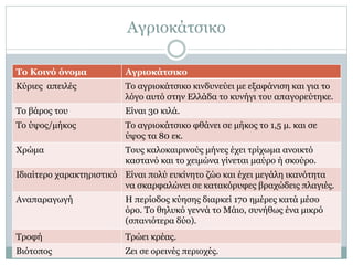 Αγριοκάτσικο
Το Κοινό όνομα Αγριοκάτσικο
Κύριες απειλές Το αγριοκάτσικο κινδυνεύει με εξαφάνιση και για το
λόγο αυτό στην Ελλάδα το κυνήγι του απαγορεύτηκε.
Το βάρος του Είναι 30 κιλά.
Το ύψος/μήκος Το αγριοκάτσικο φθάνει σε μήκος το 1,5 μ. και σε
ύψος τα 80 εκ.
Χρώμα Τους καλοκαιρινούς μήνες έχει τρίχωμα ανοικτό
καστανό και το χειμώνα γίνεται μαύρο ή σκούρο.
Ιδιαίτερο χαρακτηριστικό Είναι πολύ ευκίνητο ζώο και έχει μεγάλη ικανότητα
να σκαρφαλώνει σε κατακόρυφες βραχώδεις πλαγιές.
Αναπαραγωγή Η περίοδος κύησης διαρκεί 170 ημέρες κατά μέσο
όρο. Το θηλυκό γεννά το Μάιο, συνήθως ένα μικρό
(σπανιότερα δύο).
Τροφή Τρώει κρέας.
Βιότοπος Ζει σε ορεινές περιοχές.
 