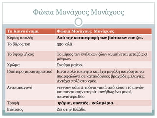 Φώκια Μονάχους Μονάχους
Το Κοινό όνομα Φώκια Μονάχους Μονάχους
Κύριες απειλές Από την καταστροφή των βιότοπων που ζει.
Το βάρος του 350 κιλά
Το ύψος/μήκος Το μήκος των ενήλικων ζώων κυμαίνεται μεταξύ 2-3
μέτρων.
Χρώμα Σκούρο μαύρο.
Ιδιαίτερο χαρακτηριστικό Είναι πολύ ευκίνητο και έχει μεγάλη ικανότητα να
σκαρφαλώνει σε κατακόρυφες βραχώδεις πλαγιές.
Αντέχει πολύ στο κρύο.
Αναπαραγωγή γεννούν κάθε 2 χρόνια -μετά από κύηση 10 μηνών
και πάντα στην στεριά- συνήθως ένα μικρό,
σπανιότερα δύο
Τροφή ψάρια, σουπιές , καλαμάρια.
Βιότοπος Ζει στην Ελλάδα
 
