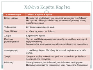 Το Κοινό όνομα Χελώνα Καρέτα Καρετά
Κύριες απειλές Η οικολογική υποβάθμιση των οικοσυστημάτων που τη φιλοξενούν
Η κλιματική αλλαγή απειλεί επίσης τα οικοσυστήματά της και τις
παραλίες ωοτοκίας.
Το βάρος του Ζυγίζει κατά μέσο όρο 90 κιλά.
Ύψος / Μήκος το μήκος της φτάνει το 1μέτρο.
Χρώμα Καφεκόκκινο xρώμα
Ιδιαίτερο
χαρακτηριστικό
Έχει τα κατάλληλα χαρακτηριστικά υφής και μεγέθους και πληροί
τις προϋποθέσεις
θερμοκρασίας και υγρασίας που είναι απαραίτητες για την επώαση.
Αναπαραγωγή Η εκκόλαψη διαρκεί δύο μήνες. Οι νεοσσοί, περίπου 100 σε κάθε
φωλιά.
Τροφή Τρέφεται κυρίως με θαλάσσια φυτά και ασπόνδυλα με ιδιαίτερη
προτίμησή στις τσούχτρες.
Βιότοπος Ζει στη Μεσόγειο, τον Ατλαντικό, τον Ινδικό και τον Ειρηνικό
Ωκεανό, ενώ καταφύγιο της αποτελεί και ο Όρμος της Απολακκιάς!
Χελώνα Καρέτα Καρέτα
 