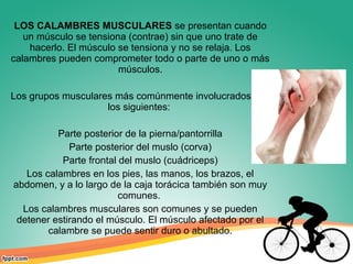 LOS CALAMBRES MUSCULARES se presentan cuando
un músculo se tensiona (contrae) sin que uno trate de
hacerlo. El músculo se tensiona y no se relaja. Los
calambres pueden comprometer todo o parte de uno o más
músculos.
Los grupos musculares más comúnmente involucrados son
los siguientes:
Parte posterior de la pierna/pantorrilla
Parte posterior del muslo (corva)
Parte frontal del muslo (cuádriceps)
Los calambres en los pies, las manos, los brazos, el
abdomen, y a lo largo de la caja torácica también son muy
comunes.
Los calambres musculares son comunes y se pueden
detener estirando el músculo. El músculo afectado por el
calambre se puede sentir duro o abultado.
 
