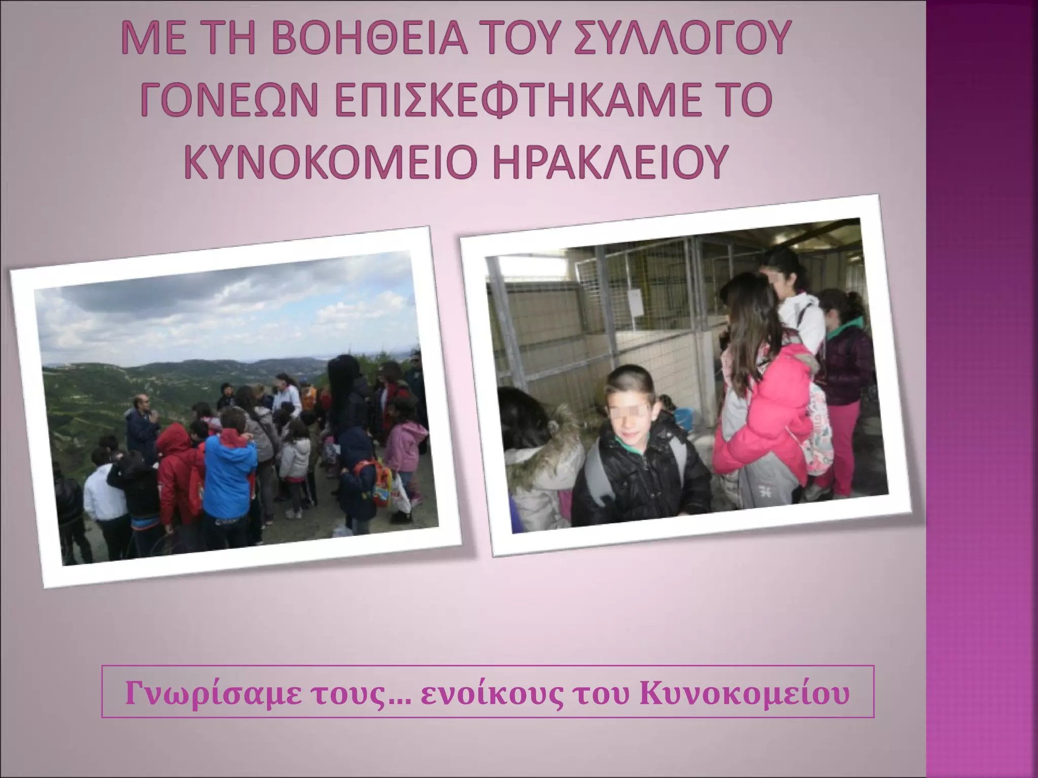 Γνωρίσαμε τους… ενοίκους του Κυνοκομείου
 